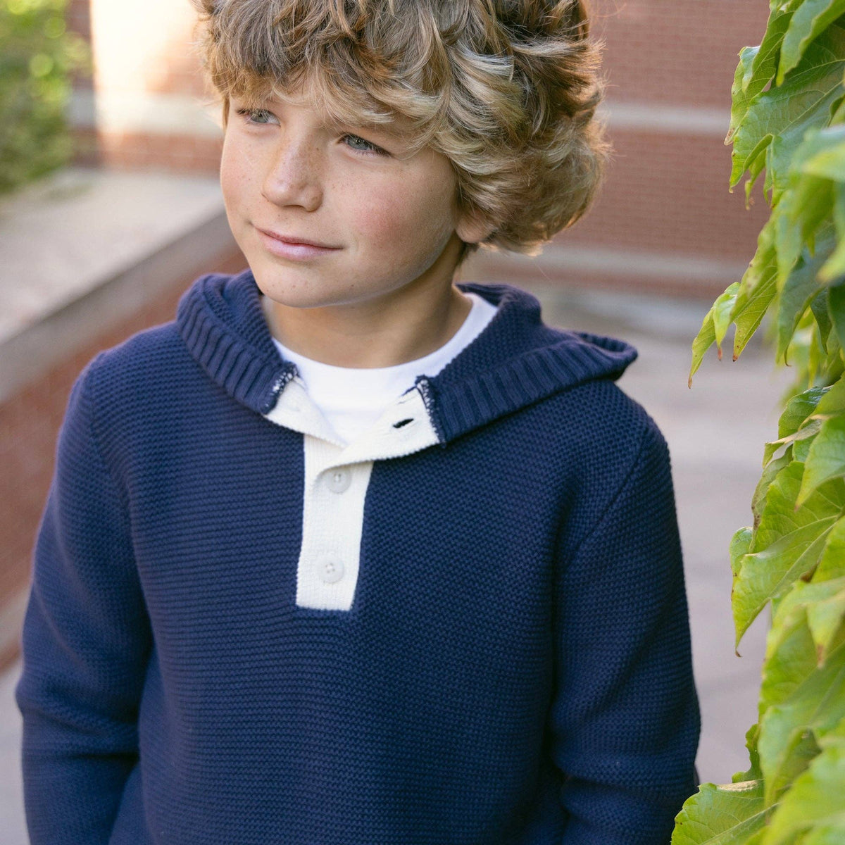 Organic Henley Sweater Hoodie