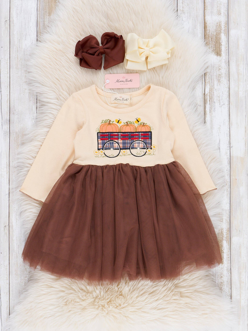 Brown Embroidered Pumpkin Wagon Tulle Dress