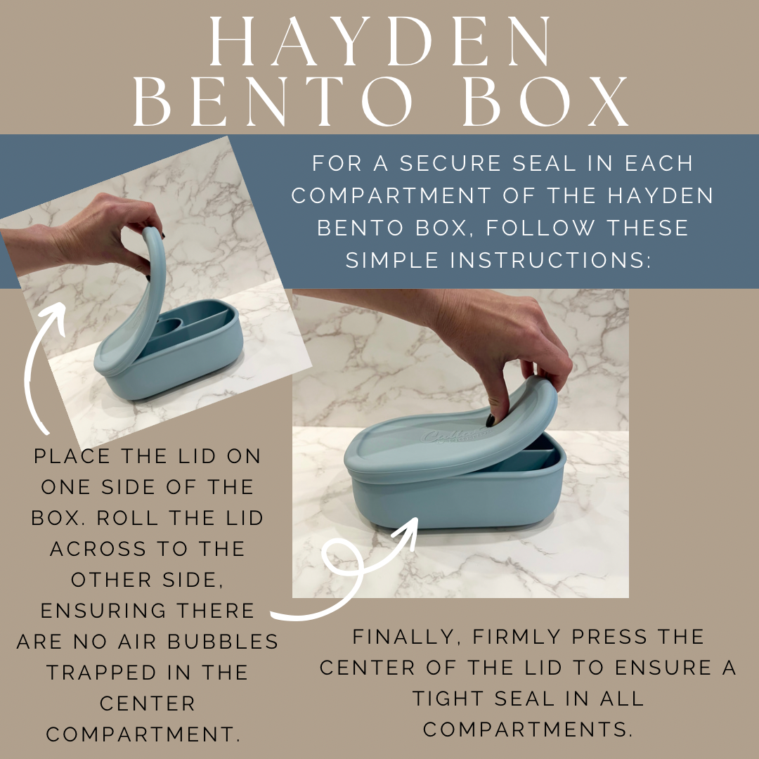 Hayden Bento Box - Trucks & Diggers